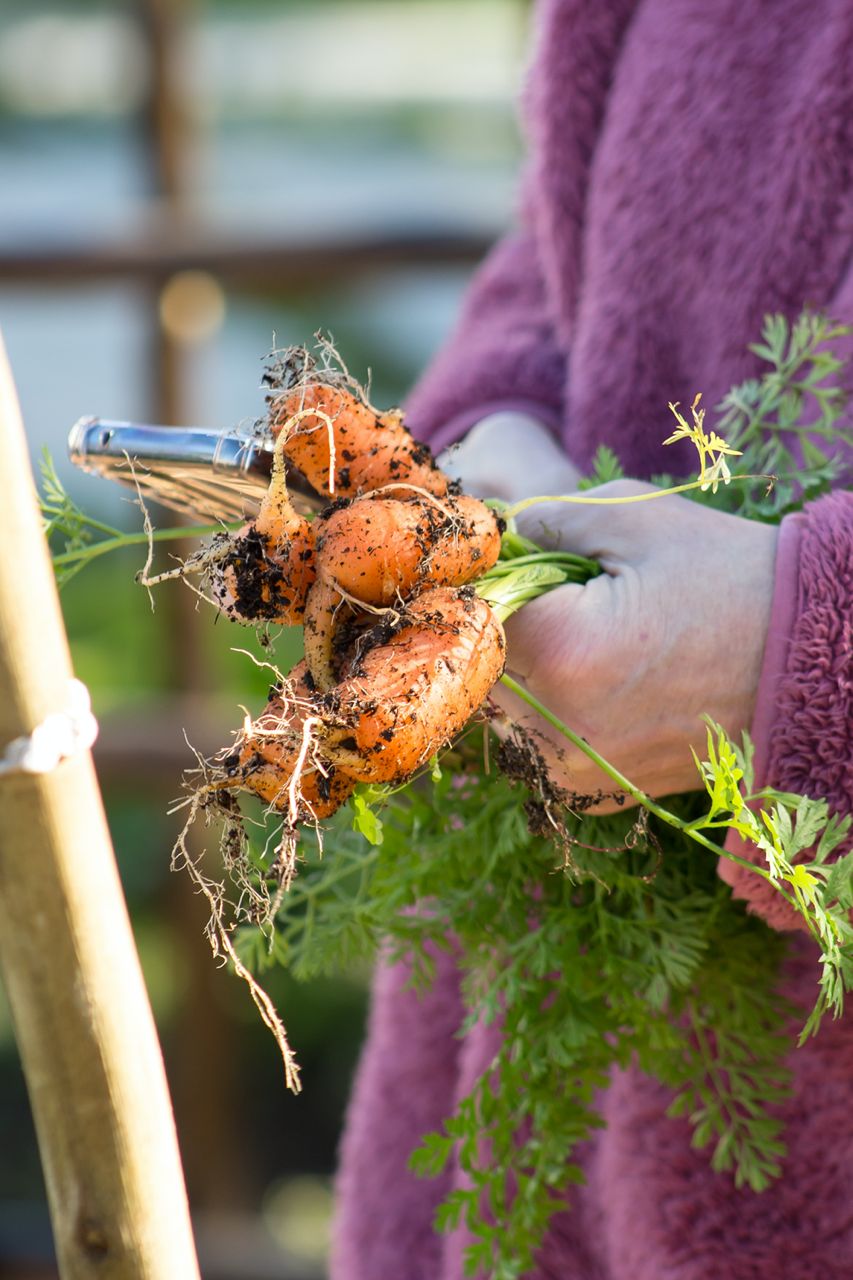 Food security_6
