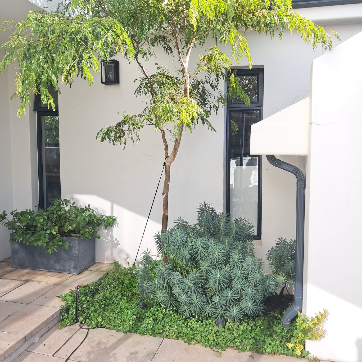 BEST Landscaping